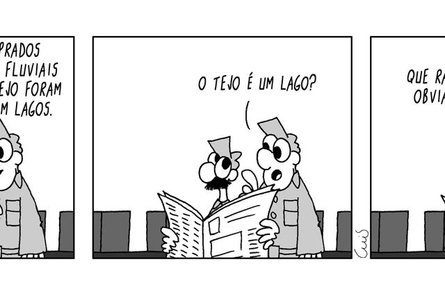 Cartoon SA 13-05-2025