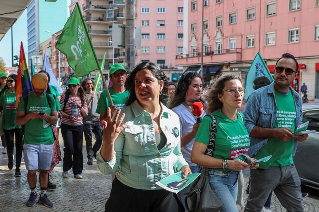 PAN aberto a apoiar Governo AD com IL mas quer compromisso com causas do partido