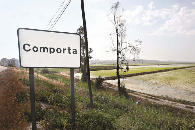 Paragrafino Pescada escreve sobre o poder da Comporta pode curar males de amor. Ou não