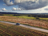 Carro numa estrada rural com vinhas e campos