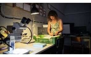 Técnica analisa amostras no Laboratório de Arqueociências do Património Cultural.