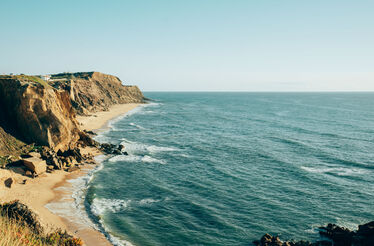 Município de Torres Vedras cria Brigadas do Ambiente 