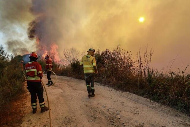 Incêndios agravam poluição da água durante vários anos
