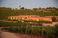 Arvad Sunset Sessions regressam para mais momentos no Algarve