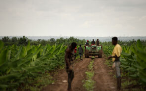 Agricultores e um trator trabalham em terras aráveis em Angola, impulsionando o setor agroindustrial