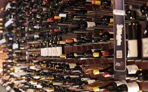 Variedade de vinhos, incluindo rótulos de Lisboa e Tinto