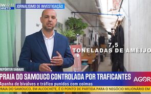 Canal NOW sempre a subir com melhor resultado de sempre este sábado