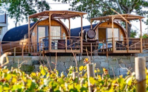 A Quinta Encosta do Rolão Peneda, em Mondim de Basto, destaca-se com enoturismo