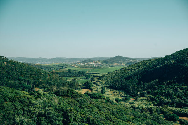 Projeto Healthy Soils @Torres Vedras único em Portugal 