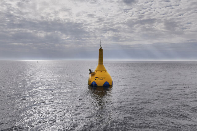 CorPower Ocean com 40 milhões da UE para parque de energia das ondas em Portugal