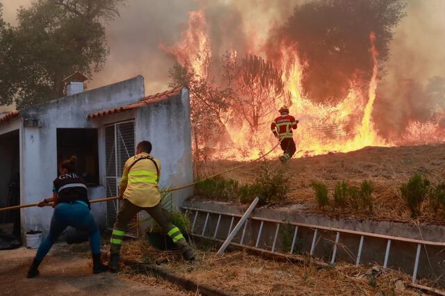 Incêndios: Medidas de apoio a empresas trazem melhorias. Execução é o maior desafio