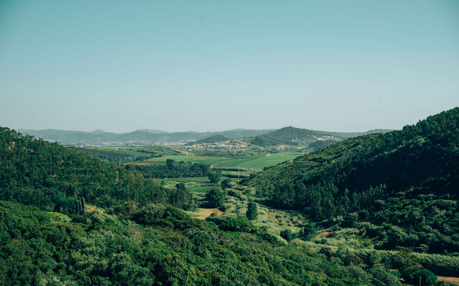 Projeto Healthy Soils em Torres Vedras visa gestão sustentável de solos agrícolas e vitícolas