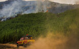 Os 7.042 fogos rurais resultaram em 254.296 hectares de área ardida este ano..