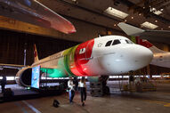 Avião da TAP homenageia Carlos Paredes