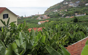 Madeira