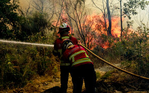 Bombeiros combatem incêndio florestal