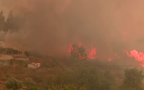 Bombeiro ferido com gravidade em incêndio que começou em Figueira de Castelo Rodrigo e atingiu Pinhel e Almeida
