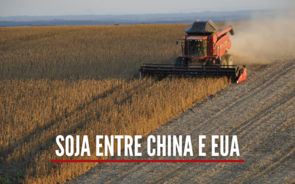 Soja no centro das tensões entre China e EUA. O que se passa? 