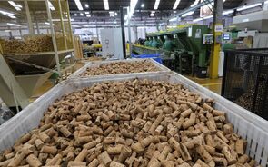 Cortiça agradece a Trump. Vinho e farmacêuticas apreensivos