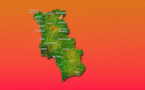 Incêndios 22.08 12h