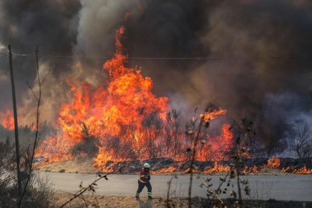Incêndios: Do 'impacto dramático' nas castanhas ao 'panorama desolador' no mel