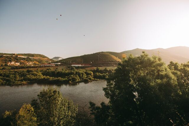 À porta da vindima produtores pedem que Governo concretize medidas para o Douro