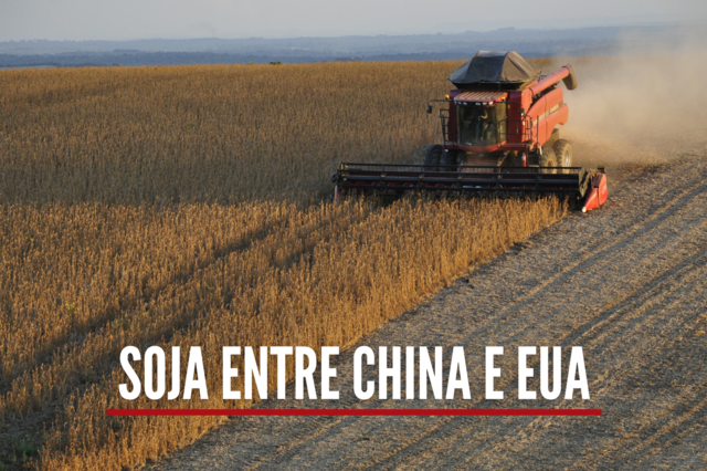 Explicador: Soja entre China e EUA 