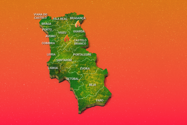 Incêndios destroem dez casas na região Centro. Equipas multidisciplinares já na Covilhã