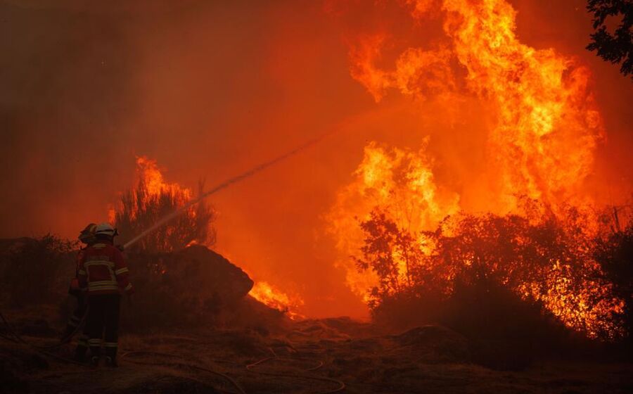 Bombeiros combatem incêndio florestal