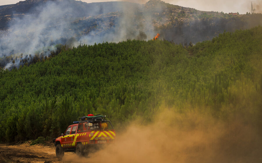 Os 7.042 fogos rurais resultaram em 254.296 hectares de área ardida este ano..