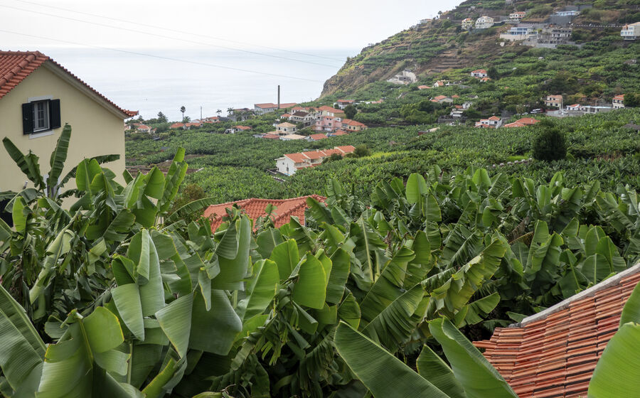 Madeira