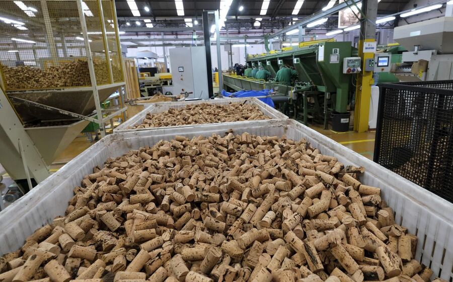 As ações da Corticeira Amorim valorizaram mais de 5% nesta quinta-feira.