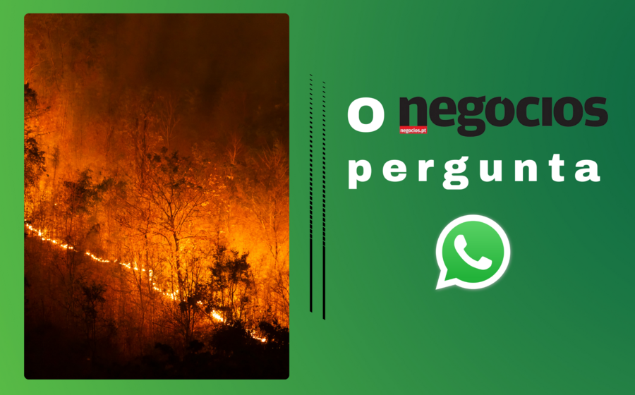 O Negócios questiona a gestão de incêndios pelo Governo no WhatsApp