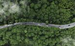 Estrada entre árvores, foco em transporte e meio ambiente