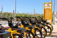 Bicicletas do sistema de mobilidade suave 'Oeiras Move' alinhadas numa estação