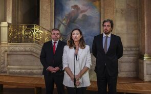 Governo admite alargar reagrupamento familiar quando existe agregado 'reconhecido', diz IL 