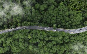 Estrada entre árvores, foco em transporte e meio ambiente