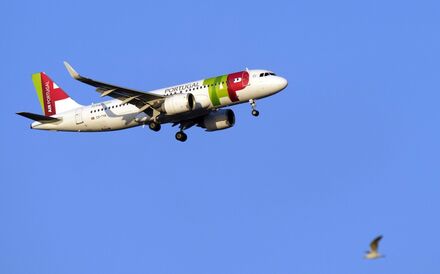 TAP vai fazer quatro voos semanais para Florianópolis e Porto Alegre, e dois em São Luís.