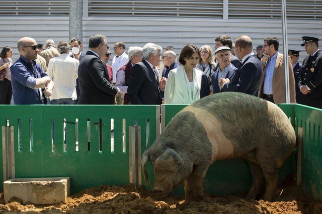 China impõe taxas sobre carne de porco da UE. Bruxelas garante proteção aos exportadores