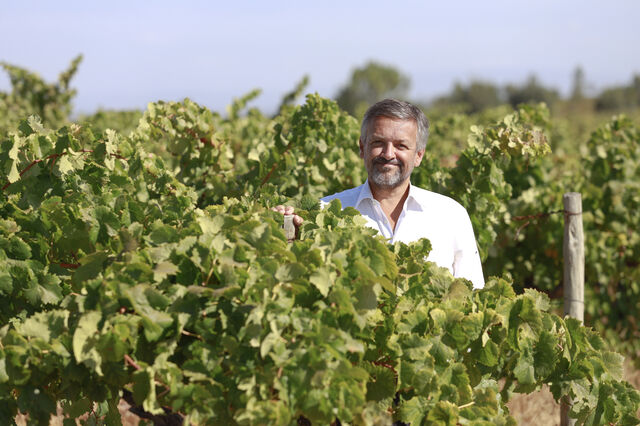 Quinta da Alorna admite aposta na hotelaria para catapultar negócio do vinho