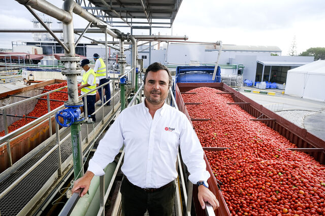 Porta aberta da UE à indústria do tomate dos EUA é 'grande preocupação'