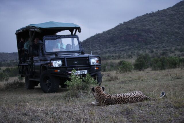 Uber também faz safaris e aponta a mercado de 4,3 mil milhões de dólares