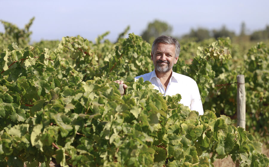 Pedro Lufinha é o diretor-geral da Quinta da Alorna desde 2010.