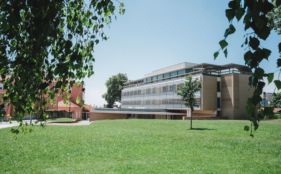 Católica Porto Business School aposta na formação de executivos com inovação e ligação às empresas