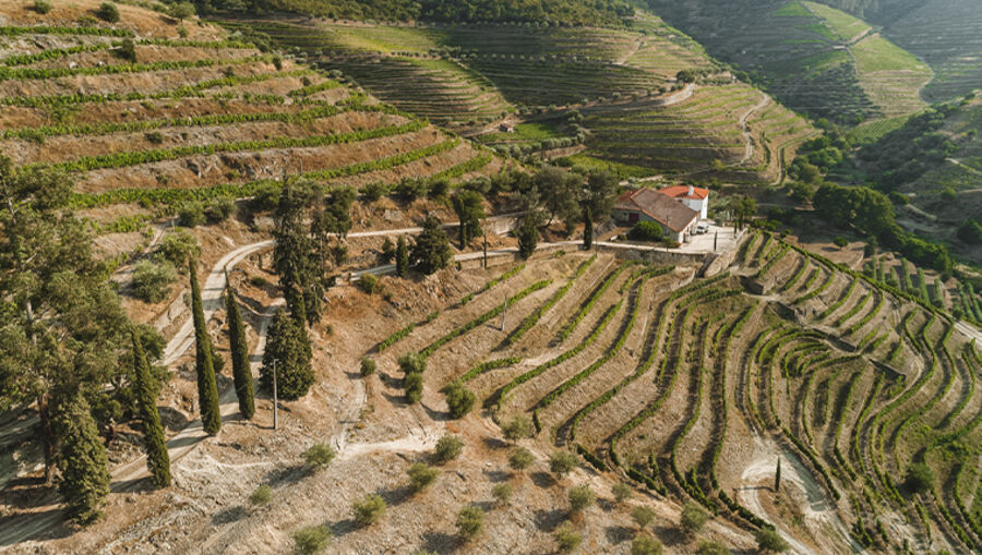 Quinta D’Ervedosa ganha Ouro com o Tinto 2023 na VINDOURO, em Pombal.
