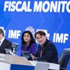 FMI: "Portugal está num bom caminho no que diz respeito às finanças públicas"