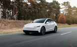 Tesla Model Y 'low cost' chega a Portugal