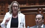 Ministra do Trabalho em audição no Parlamento