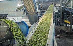 As cooperativas agrícolas continuam a ser um pilar da economia rural e da coesão territorial em Portugal. Na imagem, a Cooperativa Agrícola Moura Barrancos, em Moura.