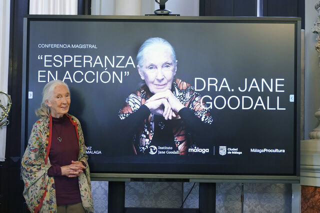 Morreu Jane Goodall, aos 91 anos